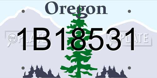 1B18531 Oregon License Plate