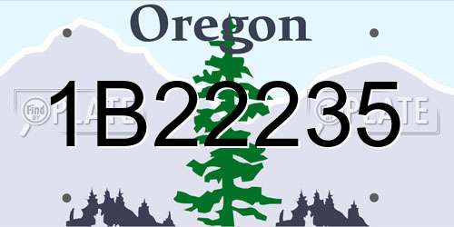 1B22235 Oregon License Plate