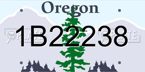 1B22238 Oregon License Plate