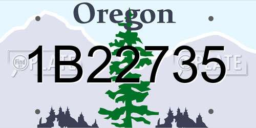 1B22735 Oregon License Plate