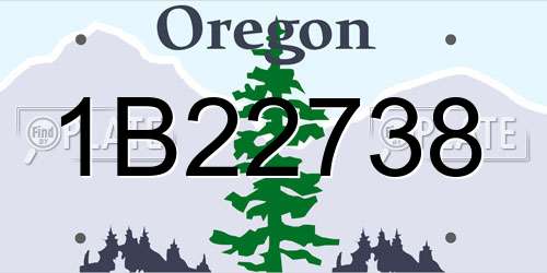 1B22738 Oregon License Plate
