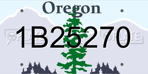 1B25270 Oregon License Plate