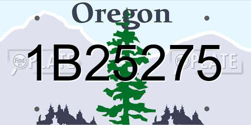 1B25275 Oregon License Plate