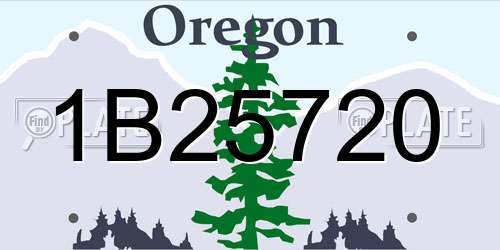 1B25720 Oregon License Plate