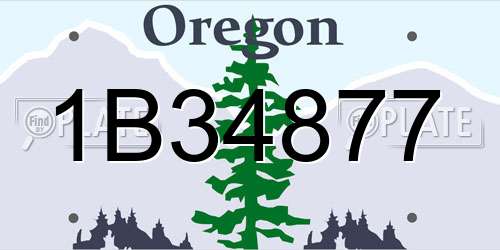 1B34877 Oregon License Plate