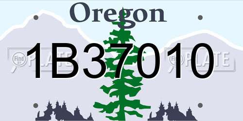 1B37010 Oregon License Plate