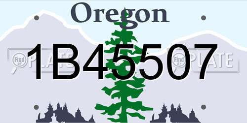 1B45507 Oregon License Plate