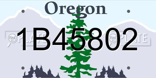 1B45802 Oregon License Plate