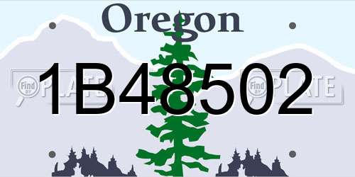 1B48502 Oregon License Plate