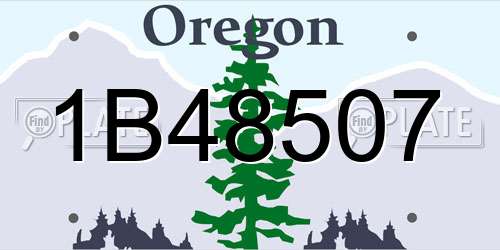 1B48507 Oregon License Plate