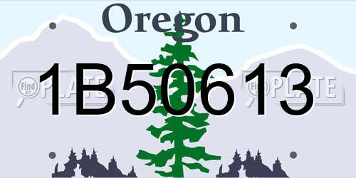 1B50613 Oregon License Plate