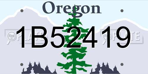 1B52419 Oregon License Plate