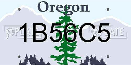 1B56C5 Oregon License Plate