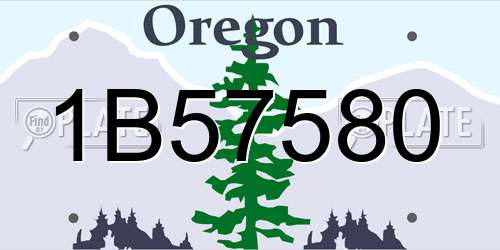1B57580 Oregon License Plate