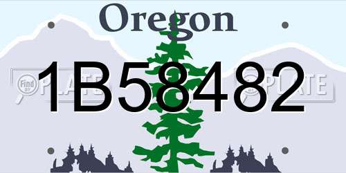 1B58482 Oregon License Plate