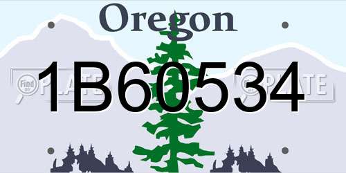 1B60534 Oregon License Plate