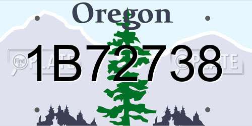 1B72738 Oregon License Plate