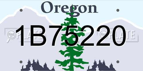 1B75220 Oregon License Plate