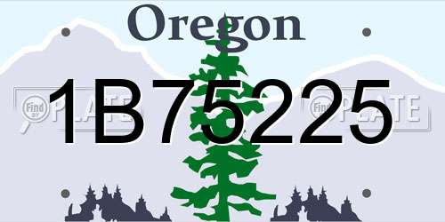 1B75225 Oregon License Plate