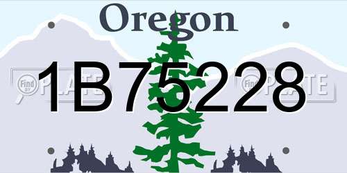 1B75228 Oregon License Plate