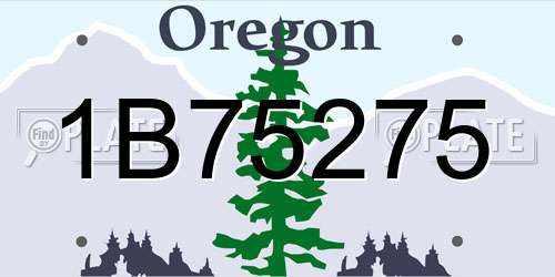 1B75275 Oregon License Plate