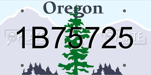 1B75725 Oregon License Plate