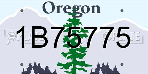1B75775 Oregon License Plate