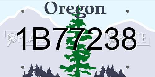 1B77238 Oregon License Plate