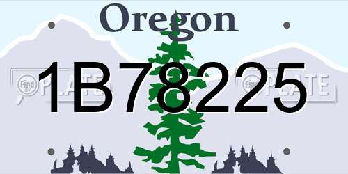 1B78225 Oregon License Plate