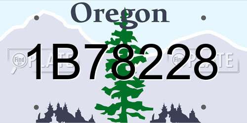 1B78228 Oregon License Plate