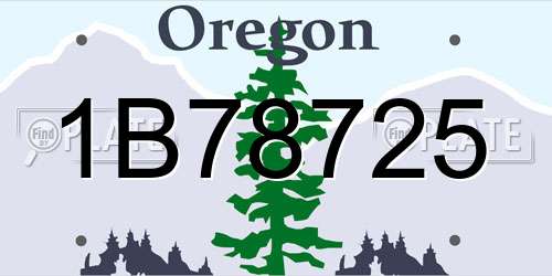 1B78725 Oregon License Plate