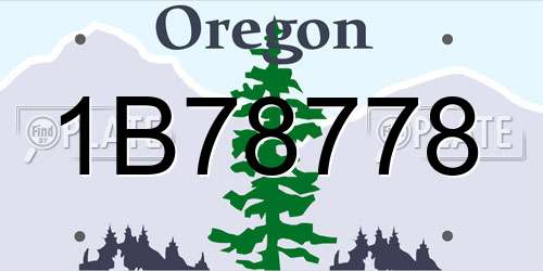 1B78778 Oregon License Plate