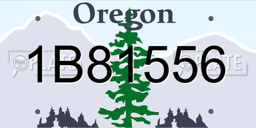 1B81556 Oregon License Plate