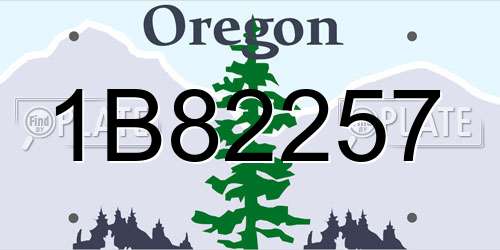 1B82257 Oregon License Plate