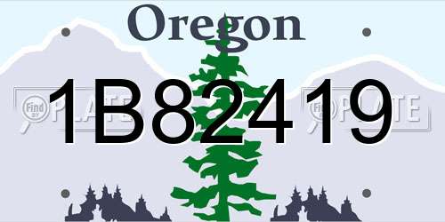 1B82419 Oregon License Plate