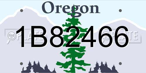 1B82466 Oregon License Plate