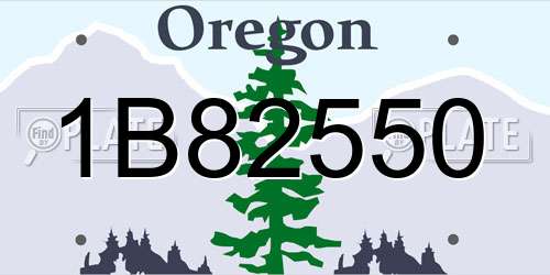 1B82550 Oregon License Plate