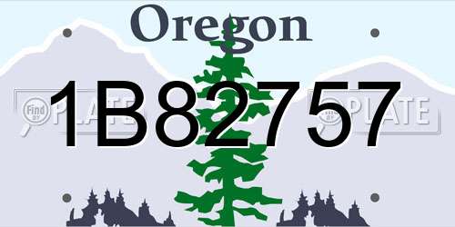 1B82757 Oregon License Plate