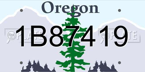 1B87419 Oregon License Plate