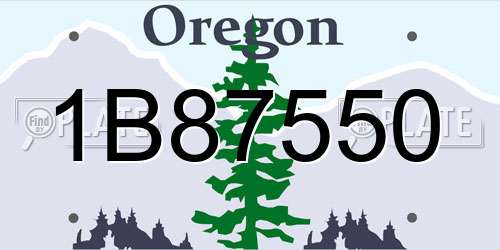 1B87550 Oregon License Plate