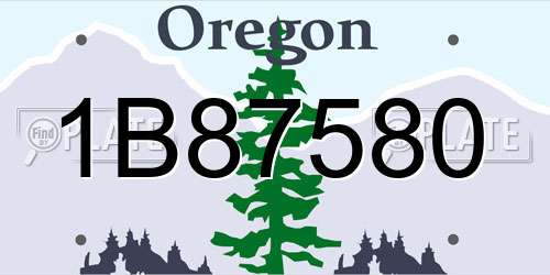 1B87580 Oregon License Plate