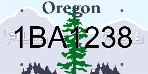 1BA1238 Oregon License Plate