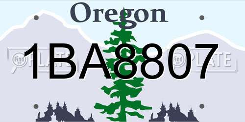 1BA8807 Oregon License Plate