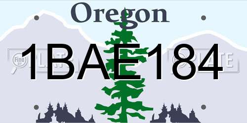 1BAE184 Oregon License Plate