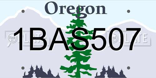1BAS507 Oregon License Plate