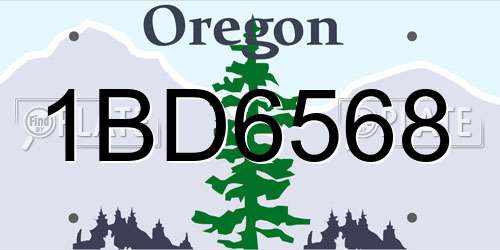 1BD6568 Oregon License Plate