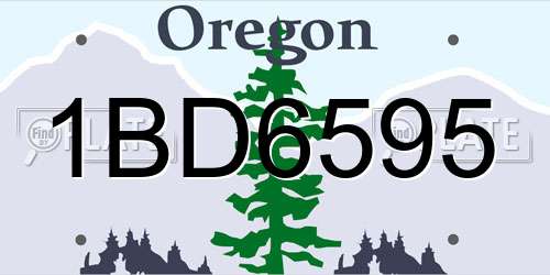 1BD6595 Oregon License Plate