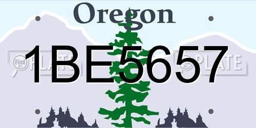 1BE5657 Oregon License Plate