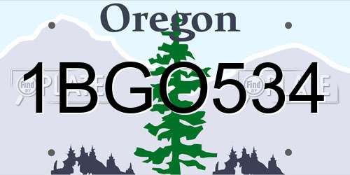 1BGO534 Oregon License Plate