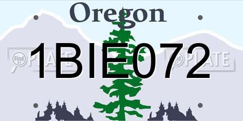 1BIE072 Oregon License Plate